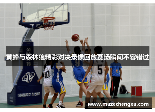 黄蜂与森林狼精彩对决录像回放赛场瞬间不容错过